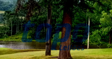 Terreno Rural em Correia Pinto/SC - Fração de 12,506%