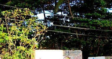 Lote de Terreno com 390m² na Praia de Candeias