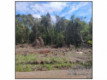 Terreno de 4725m² em Arvorezinha/RS