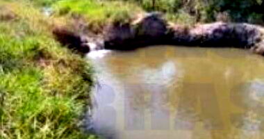 Gleba com 48,482 ha em Costa Marques/RO