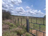 Sítio com 80,16 hectares - Fazenda Boa Esperança I, cercado, apto para plantio