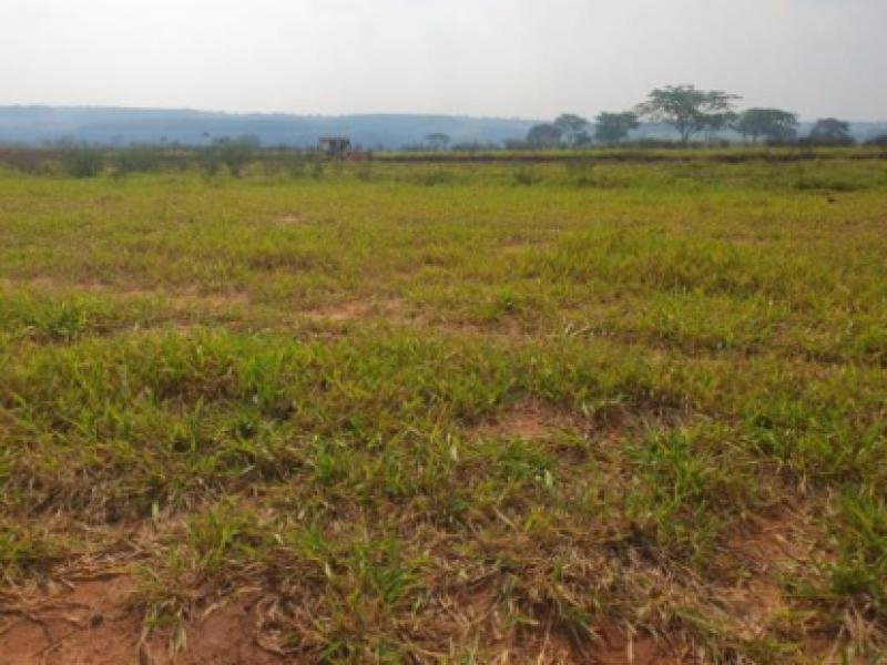 Terreno 250m² em Jardim Botânico I, Marília -