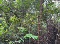 Terreno de 5.010,88m² em Cotia/SP - Ótima Oportunidade de Investimento