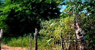 Terreno Amplo em Leilão com 41.000m²