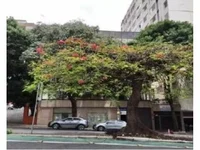 Ex-Agência com 555.80m² em Leilão -