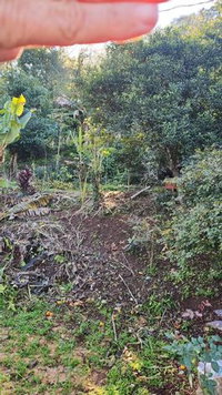 Lote Urbano nº 47 - 448m² em Mondaí/SC
