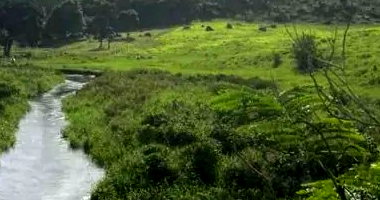 Sítio rural com 25,03 ha e estrutura agropecuária
