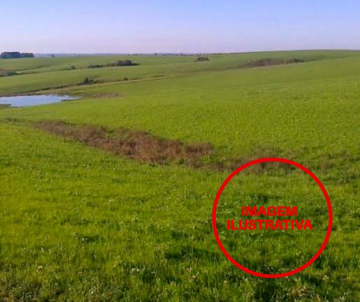 Fração ideal 33% de gleba rural com 103,59 hectares