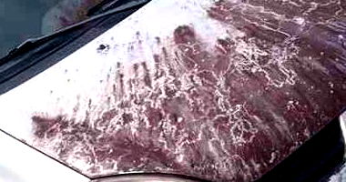 RENAULT CLIO CAM1016VH Conservado