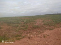 Parte ideal de 50% em Lote Rural com 11,47 hectares em Terra Roxa/PR