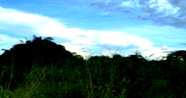 Terreno Urbano com 5.600 m² em Rolim de Moura/RO