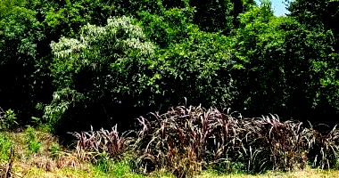 Lote em Xanxerê com 364,62m² - Oportunidade Imperdível!