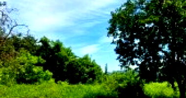 Terreno Institucional com Área de 923,24m²