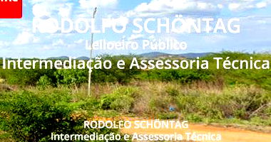 Terreno Urbano 1 hectare em Patos, PB - Excelente Oportunidade