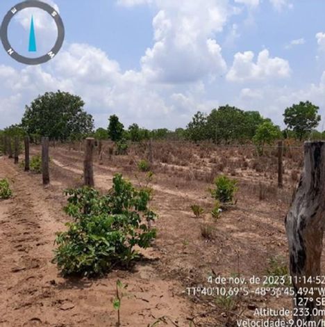 Fazenda Larga ou Larga do Zé Januário em Paranã/TO