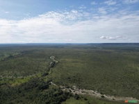 Fazenda no Jalapão com 710,94 hectares, desocupada