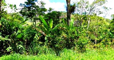 Terreno amplo com 52.382,93m², desocupado, ideal para investimento