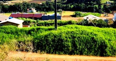 Lote institucional amplo com 1.777,92 m² em São José do Cedro