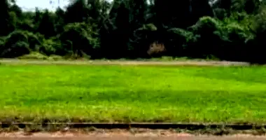 Terrenos em Leilão - Jardim Bela Vista