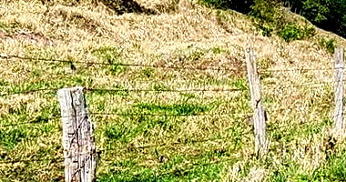 Terreno Rural com 30.000m² em Realeza/PR