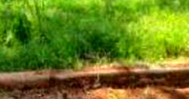 Imóvel Urbano com Área Total de 426m² em Seberi/RS