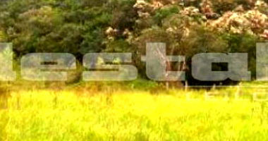 Sítio com 5 dormitórios em Pirapora/SP