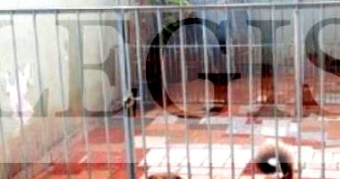 Direitos sobre Imóvel Residencial com 2 Quartos e 200m² de Terreno