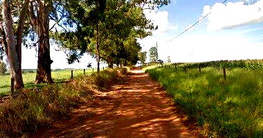 Terreno com Edificações em São Carlos - 9.000m²