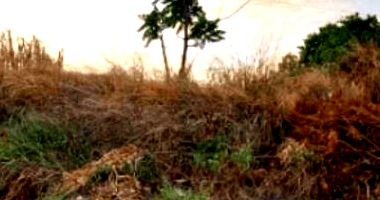 Terreno Amplo 600m² em Boa Vista/RR