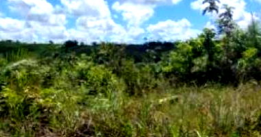 Terreno 22.830m² em Itaporanga d'Ajuda - SE -