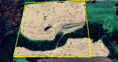 Imóvel Rural com 121.000 m² Desocupado