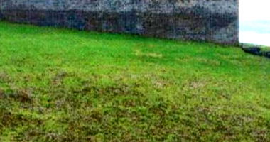 Terreno Urbano em Ampére - Área Total de 204 m²