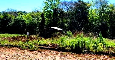 Lote Urbano com 371,58 m² em Realeza/PR