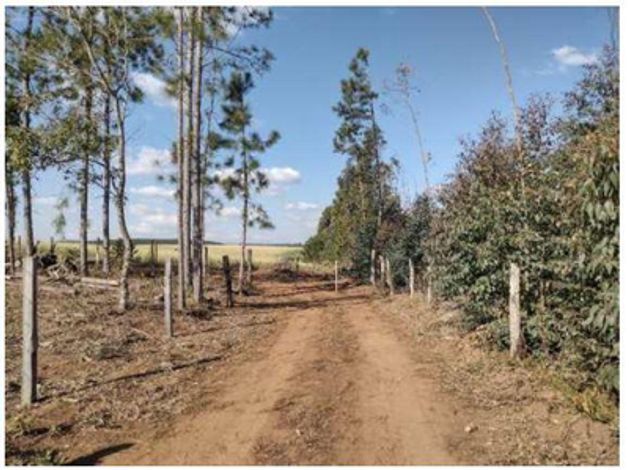 Terreno Rural de 4ha em Guarapuava/PR