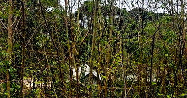 Terreno em Nova Petrópolis com 378m²