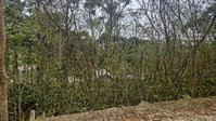 Terreno em Nova Petrópolis com 378m²