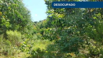 Terreno Rural com 49,3 mil m² em Vila Maria/RS