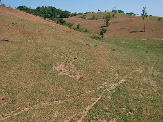 Terreno em Alta Floresta D'Oeste - RO com 12,32ha