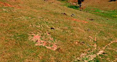 Terreno em Alta Floresta D'Oeste - RO com 12,32ha