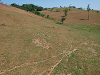 Terreno em Alta Floresta D'Oeste - RO com 12,32ha