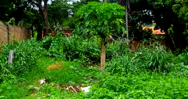 Terreno em Várzea Grande-MT com 12x30m