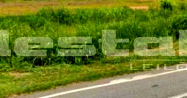 Terreno Amplo com Potencial Estratégico na Rodovia Presidente Dutra