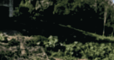 Terreno amplo de 17.450m² desocupado, ideal para investimento