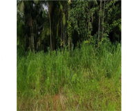 Terreno Juréia 252m²