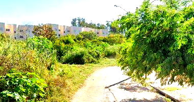 Terreno de 297m² em Bauru/SP - Oportunidade Única!