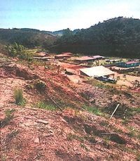 Imóvel Rural com Edificações em Ewbank da Câmara/MG