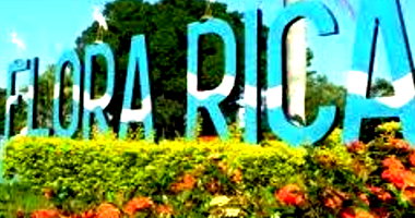 Terreno rural de 5,30 hectares em Flora Rica, ideal para investimento