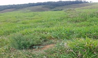Gleba rural de 22,7480ha em Juiz de Fora, ocupada