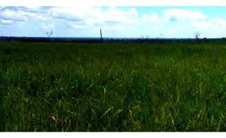 Fazenda Carabussu com 459,8ha em Quissamã/RJ