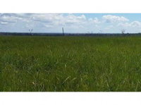 Fazenda Carabussu com 459,8ha em Quissamã/RJ